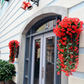 Buy 2 Get 1 Free🔥Vivid Beautiful Hanging Orchid Bunch-2